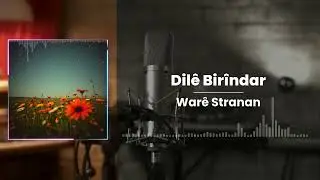 Dilê Birîndar - Warê Stranan