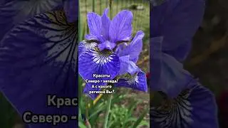 #природа#nature