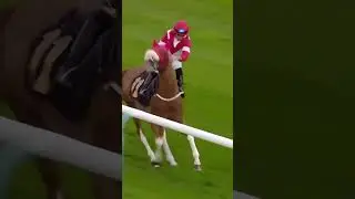 Incredible horsemanship 