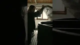 ARDBEG DISTILLERY | ISLAY