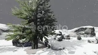 Winter Background | Motion Graphics - Envato elements