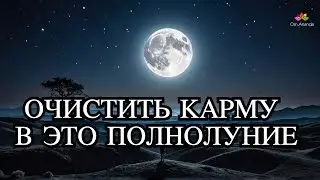 Как очистить родовую карму в полнолуние 🌕