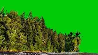 nature background video green screen