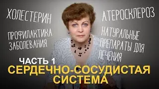 Сердечно сосудистая система.Часть 1. Введение. Атеросклероз