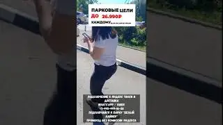 Неадекватная женщина кинула таксиста. Жалуется в поддержку!