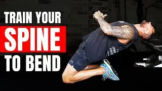 4 Exercises To Improve Your Back Health