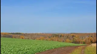 Шишкино. Покров 14.10.2023 г.