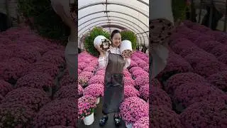They Are Not Fake They Are Real Flowers #flowers #garden