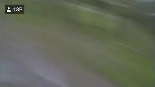 Ayı görünce imana gelen arkadaş