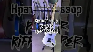 ЖНЕЦ РИФФОВ!!! Электрогитара Palker Riff Reaper, обзор🎸