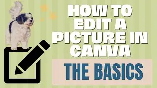 How To Edit A Picture In Canva - The Basics