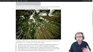 Set up a WordPress Blog - the difference between Posts and Pages