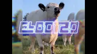 El Botzo - I bin fidel (a Rindvieh)
