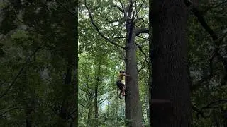 Speed treeclimbing