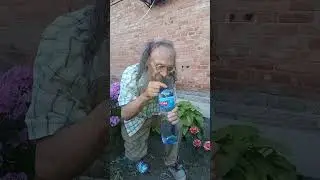 для желудочного благополучия #витямитя