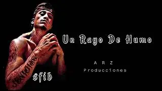 Un Rayo De Humo// Sfib 08/ Grillos Rojos