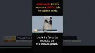 Adolescente invadiu escolas e MATOU três no Espírito Santo