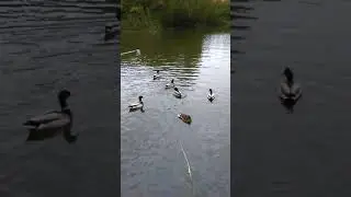 24 de abril de 2018