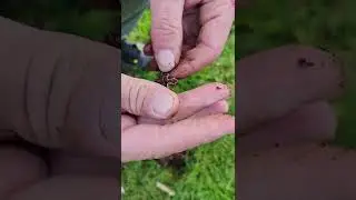 Not a Pull Tab