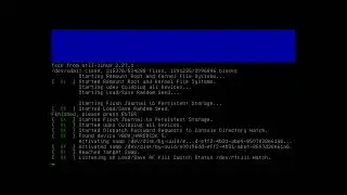linux mint - fsck from recovery