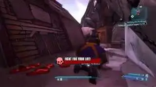 Borderlands 2 Gameplay on GTX 970
