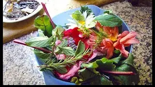 salade de feuilles et fleurs (de Philip Forrer)