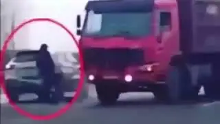 Звер(30)