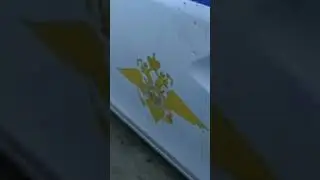 герб России курица )