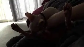 Don't mess with Smeagol's bathing time