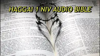 HAGGAI 1 NIV AUDIO BIBLE(with text)