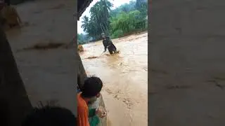 ການລົ້ມລົງຂອງເຂື່ອນລາວ Laos dam collapse ນໍ້າຖ້ວມບ້ານກົກງີ້ວ/ເມືອງຫຼວງພະບາງ/ນະຄອນຫຼວງພະບາງ
