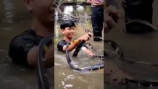 cute snakey