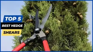 ✅ Top 5 best hedge shears review 2023 (Top 5 Picks) 🔥