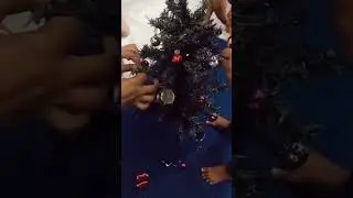 Decorating Christmas Tree