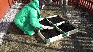 Такой пряный огород должен быть у каждого 🌱 Пряные травы в высоких грядках