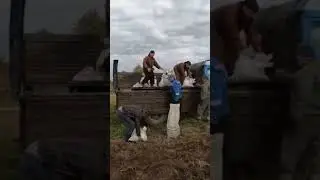 собираем урожай картофеля
