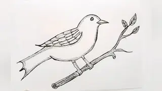 How to draw a bird l how to make bird drawing l bird drawing easy with colour l art #drawing