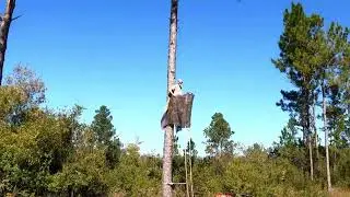 Picking Out A Deer Stand