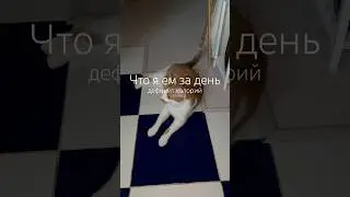 Тгк КрисКрайс💋 #дневникпитания #чтояем #рационпитания #еда #чтояемзадень #подсчеткалорий