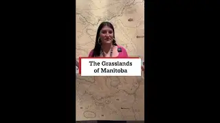 Prairies Before the Plow