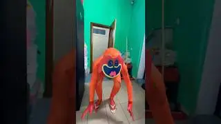 Dogday #collection #gusaruku #popyplaytimechapter3
