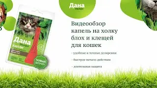 Обзор капель от блох и клещей | Дана Ультра для кошек более 4 кг в новом дизайне | Апиценна