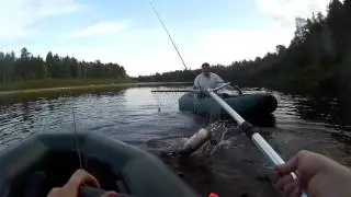 Красный