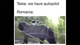 NEXT GENERATION OF AUTONOMOUS HORSES