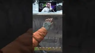 Нападение стаи серых волков на человека !!! 