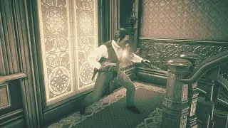 RDR2 - Shot Though the Window