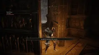 This Elden Ring host that doesn't fog walk!