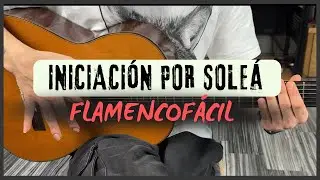 ASÍ ES EL PICADO FLAMENCO POR SOLEÁ (TUTORIAL MUY FÁCIL)