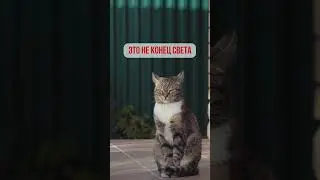 Как не надо поддерживать! #психология #поддержка #вредныесоветы