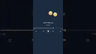 오로지 딱풀 asmr